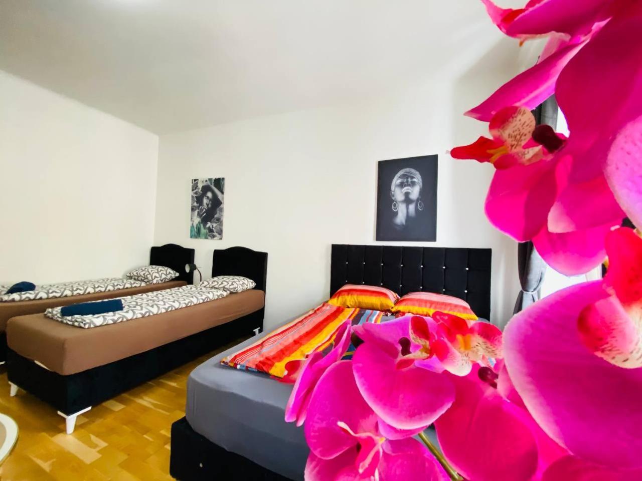 维也纳Deluxe Studio In Josefstaedter Strasse Area公寓 外观 照片
