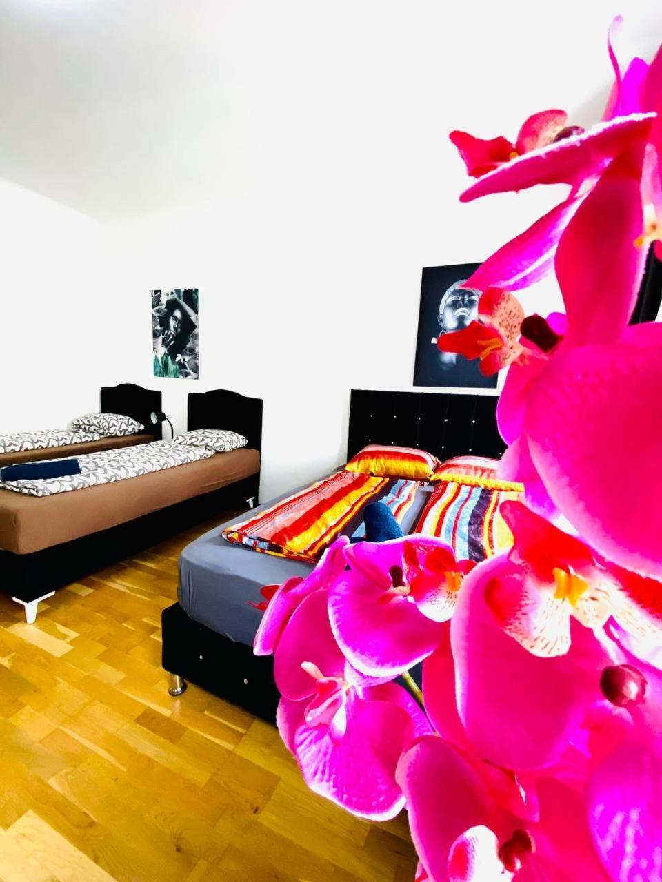 维也纳Deluxe Studio In Josefstaedter Strasse Area公寓 外观 照片